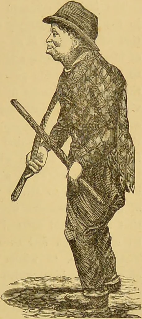 An illustration from Nature's revelations of character, or, The mental, moral and volitive dispositions of mankind, as manifested in the human form and countenance / by Joseph Simms., 1873, leaf 377