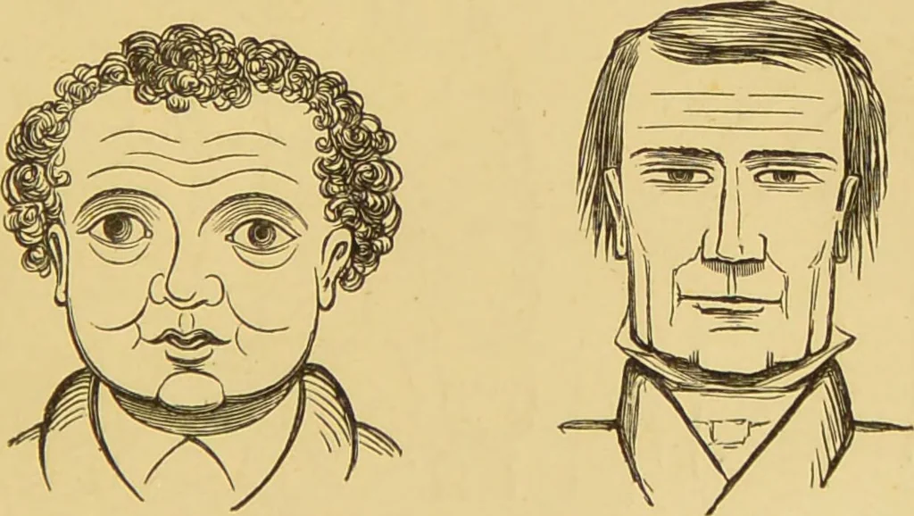 An illustration from Nature's revelations of character, or, The mental, moral and volitive dispositions of mankind, as manifested in the human form and countenance / by Joseph Simms., 1873, leaf 387