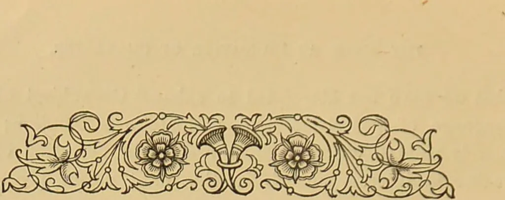 An illustration from Nature's revelations of character, or, The mental, moral and volitive dispositions of mankind, as manifested in the human form and countenance / by Joseph Simms., 1873, leaf 416