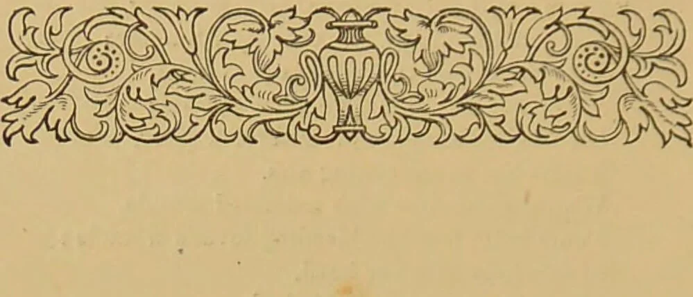 An illustration from Nature's revelations of character, or, The mental, moral and volitive dispositions of mankind, as manifested in the human form and countenance / by Joseph Simms., 1873, leaf 462