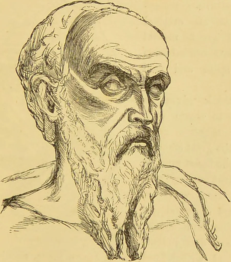 An illustration from Nature's revelations of character, or, The mental, moral and volitive dispositions of mankind, as manifested in the human form and countenance / by Joseph Simms., 1873, leaf 485