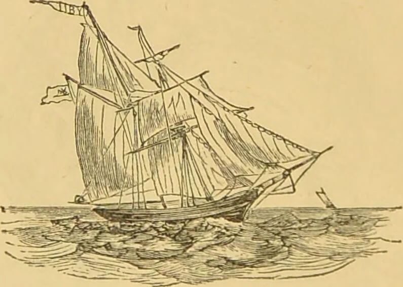 An illustration from Nature's revelations of character, or, The mental, moral and volitive dispositions of mankind, as manifested in the human form and countenance / by Joseph Simms., 1873, leaf 488