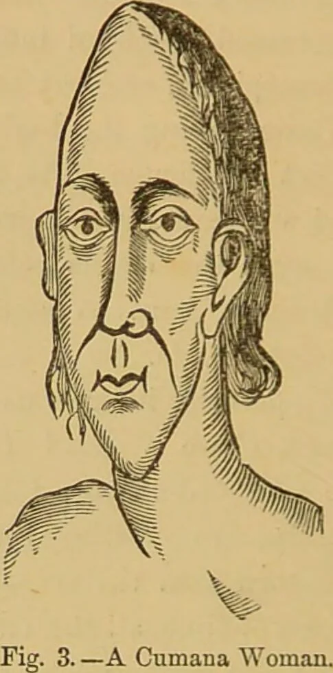 An illustration from Nature's revelations of character, or, The mental, moral and volitive dispositions of mankind, as manifested in the human form and countenance / by Joseph Simms., 1873, leaf 536