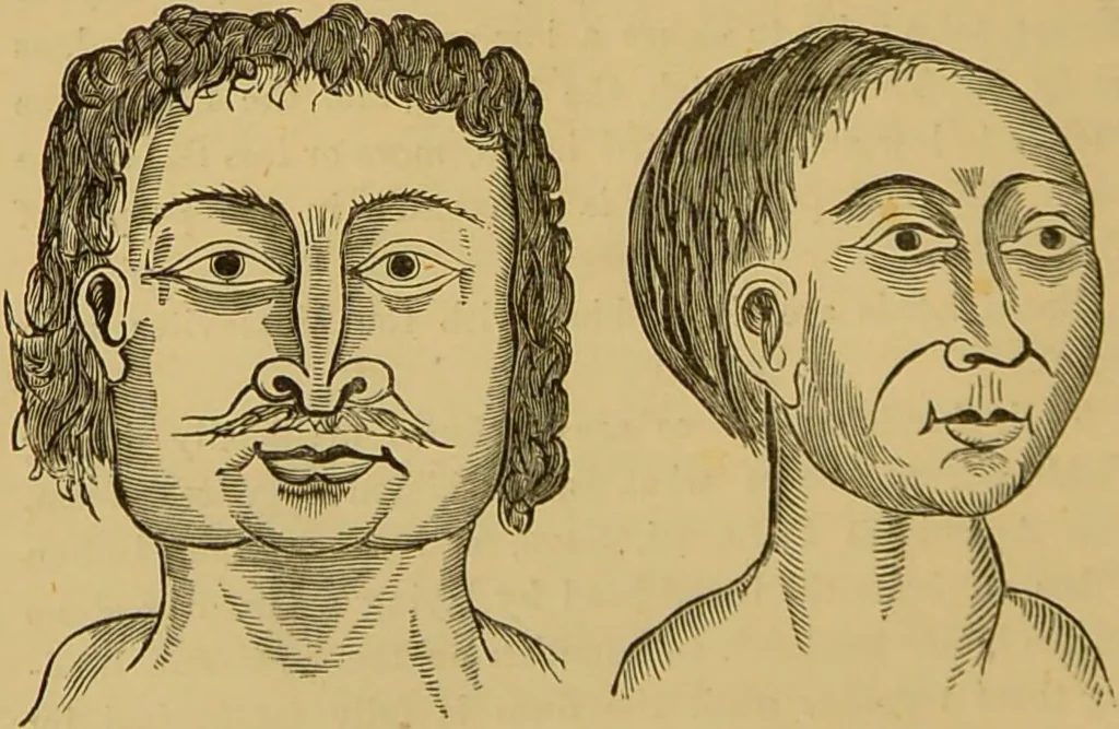 An illustration from Nature's revelations of character, or, The mental, moral and volitive dispositions of mankind, as manifested in the human form and countenance / by Joseph Simms., 1873, leaf 538