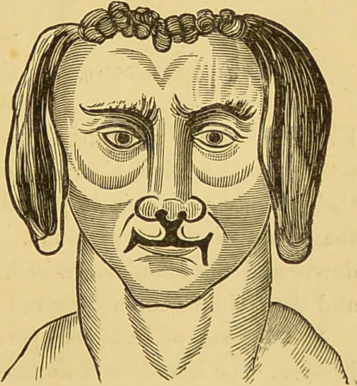 An illustration from Nature's revelations of character, or, The mental, moral and volitive dispositions of mankind, as manifested in the human form and countenance / by Joseph Simms., 1873, leaf 539