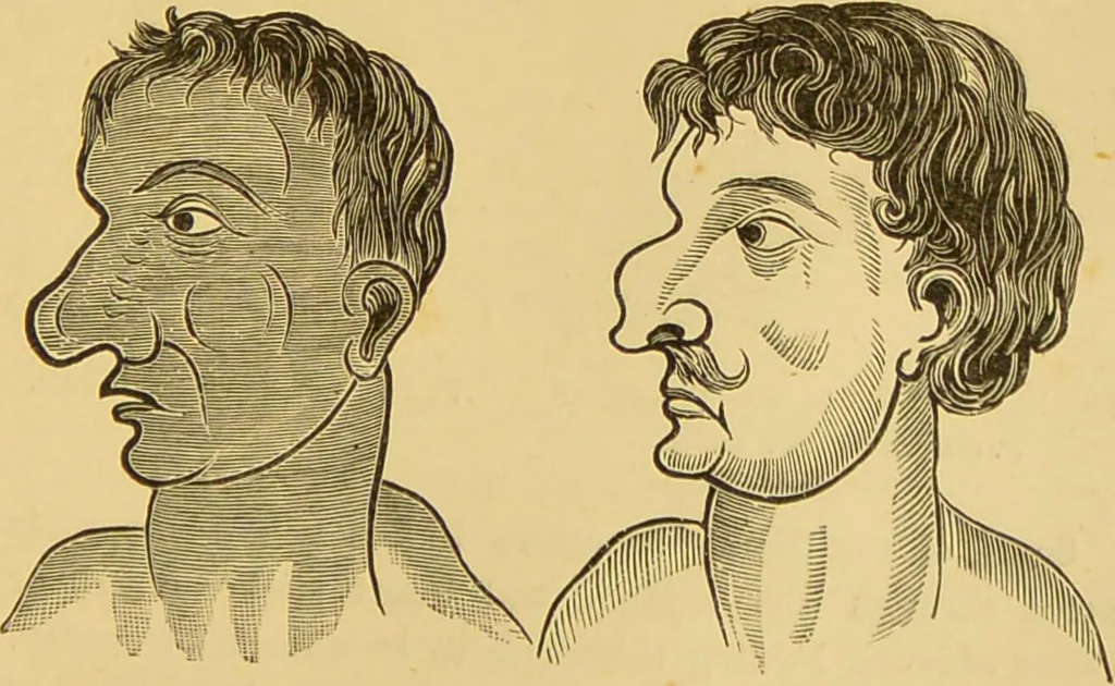 An illustration from Nature's revelations of character, or, The mental, moral and volitive dispositions of mankind, as manifested in the human form and countenance / by Joseph Simms., 1873, leaf 541