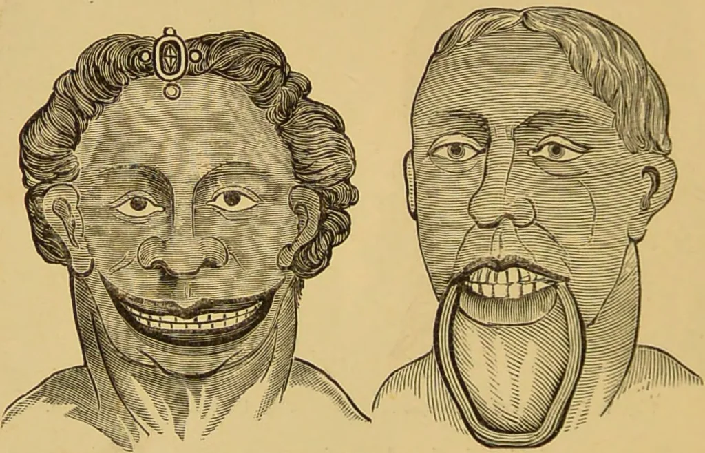 An illustration from Nature's revelations of character, or, The mental, moral and volitive dispositions of mankind, as manifested in the human form and countenance / by Joseph Simms., 1873, leaf 544