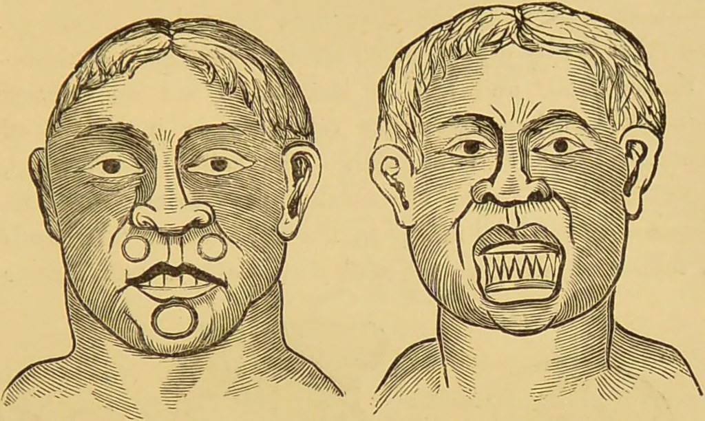 An illustration from Nature's revelations of character, or, The mental, moral and volitive dispositions of mankind, as manifested in the human form and countenance / by Joseph Simms., 1873, leaf 545