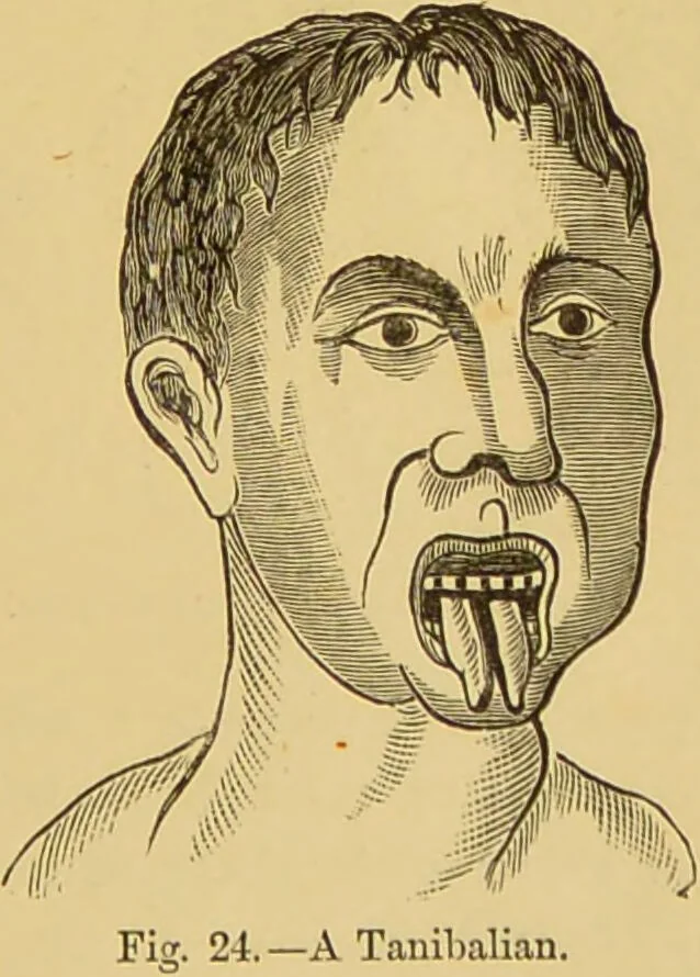 An illustration from Nature's revelations of character, or, The mental, moral and volitive dispositions of mankind, as manifested in the human form and countenance / by Joseph Simms., 1873, leaf 545