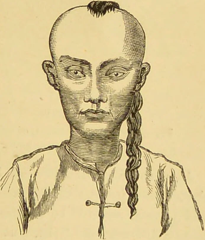 An illustration from Nature's revelations of character, or, The mental, moral and volitive dispositions of mankind, as manifested in the human form and countenance / by Joseph Simms., 1873, leaf 551