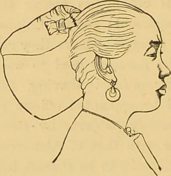 An illustration from Nature's revelations of character, or, The mental, moral and volitive dispositions of mankind, as manifested in the human form and countenance / by Joseph Simms., 1873, leaf 556