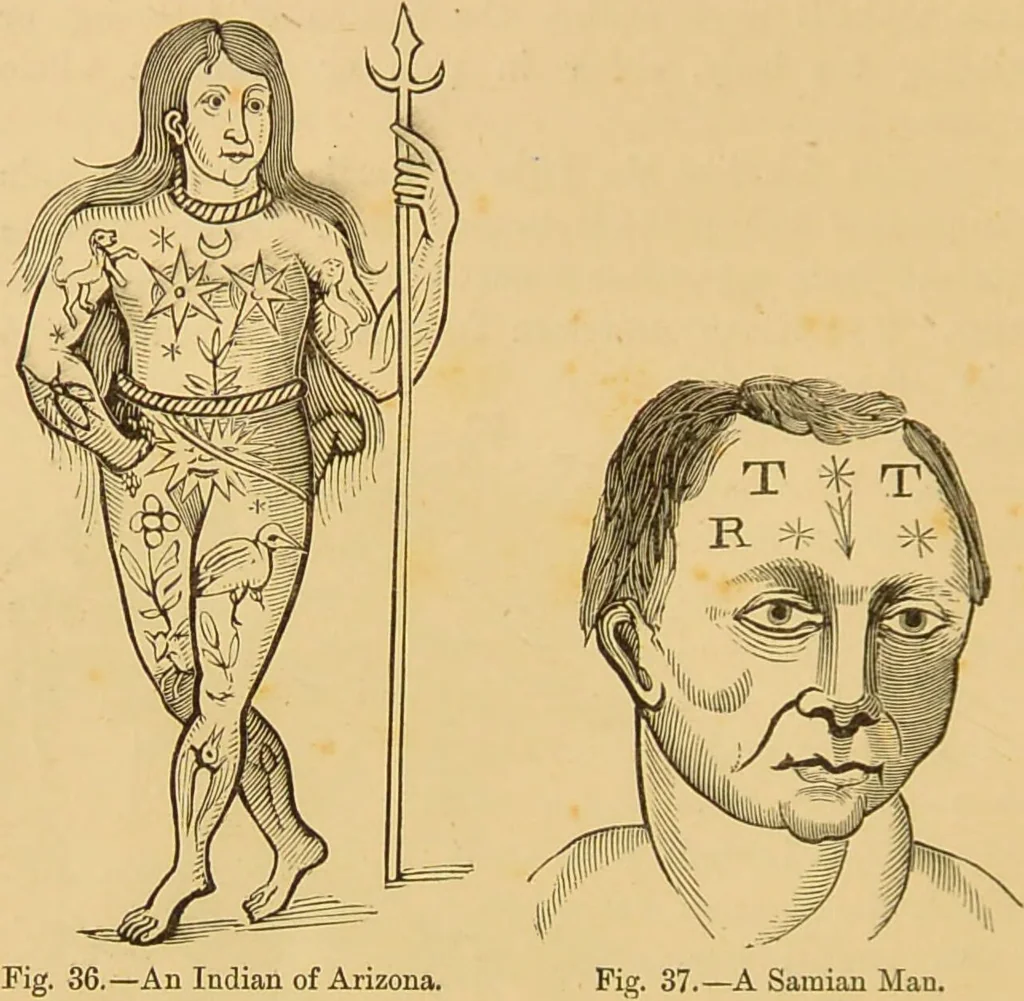 An illustration from Nature's revelations of character, or, The mental, moral and volitive dispositions of mankind, as manifested in the human form and countenance / by Joseph Simms., 1873, leaf 558
