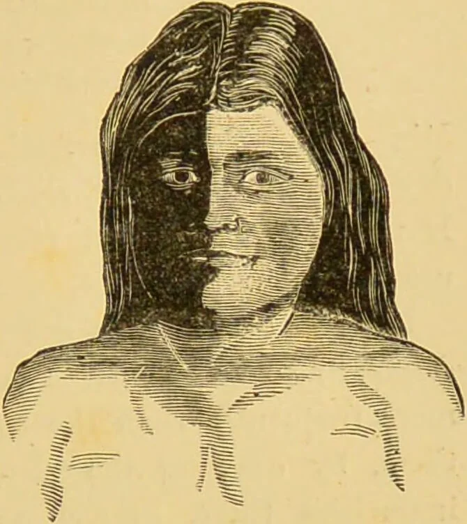 An illustration from Nature's revelations of character, or, The mental, moral and volitive dispositions of mankind, as manifested in the human form and countenance / by Joseph Simms., 1873, leaf 559