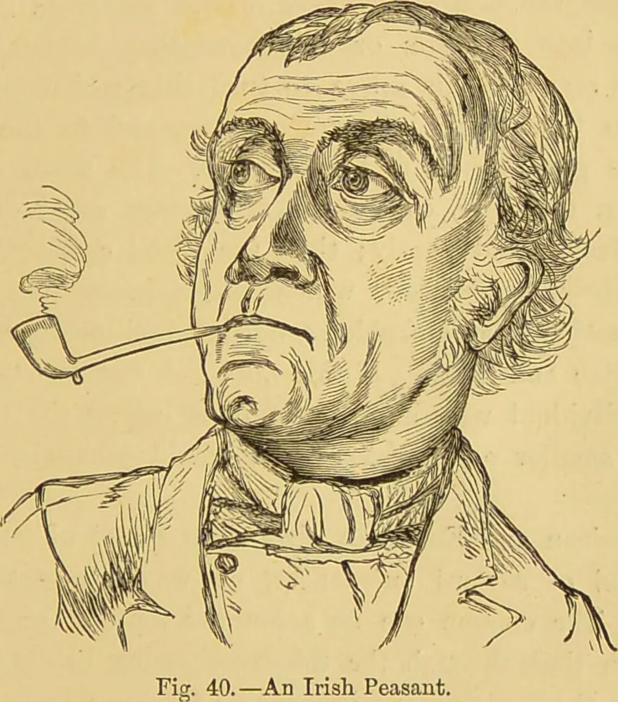 An illustration from Nature's revelations of character, or, The mental, moral and volitive dispositions of mankind, as manifested in the human form and countenance / by Joseph Simms., 1873, leaf 561