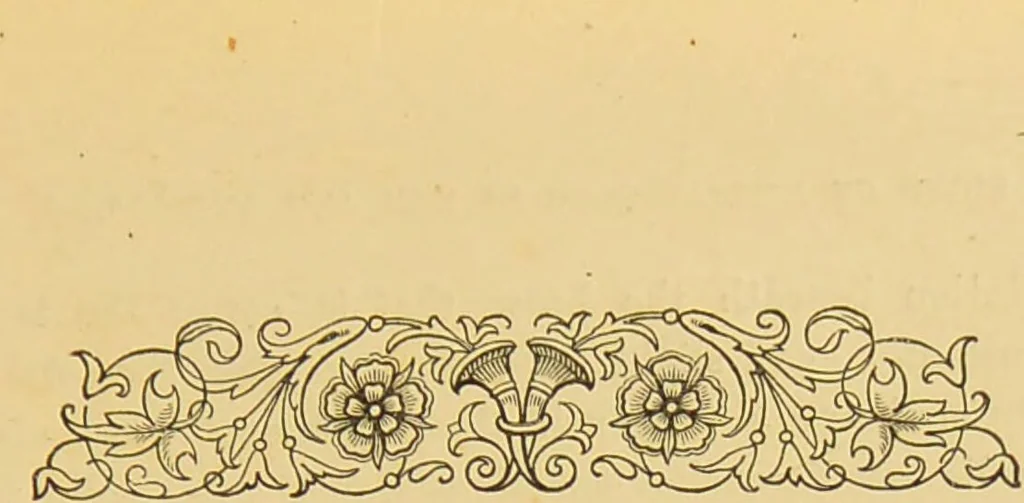 An illustration from Nature's revelations of character, or, The mental, moral and volitive dispositions of mankind, as manifested in the human form and countenance / by Joseph Simms., 1873, leaf 565