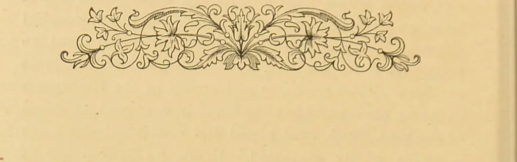 An illustration from Nature's revelations of character, or, The mental, moral and volitive dispositions of mankind, as manifested in the human form and countenance / by Joseph Simms., 1873, leaf 568
