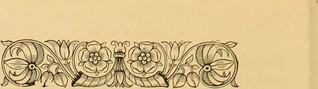 An illustration from Nature's revelations of character, or, The mental, moral and volitive dispositions of mankind, as manifested in the human form and countenance / by Joseph Simms., 1873, leaf 574