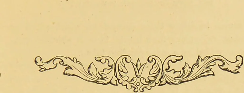 An illustration from Nature's revelations of character, or, The mental, moral and volitive dispositions of mankind, as manifested in the human form and countenance / by Joseph Simms., 1873, leaf 579