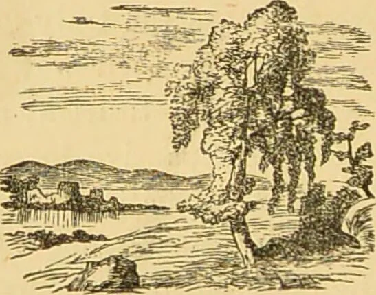 An illustration from Nature's revelations of character, or, The mental, moral and volitive dispositions of mankind, as manifested in the human form and countenance / by Joseph Simms., 1873, leaf 584
