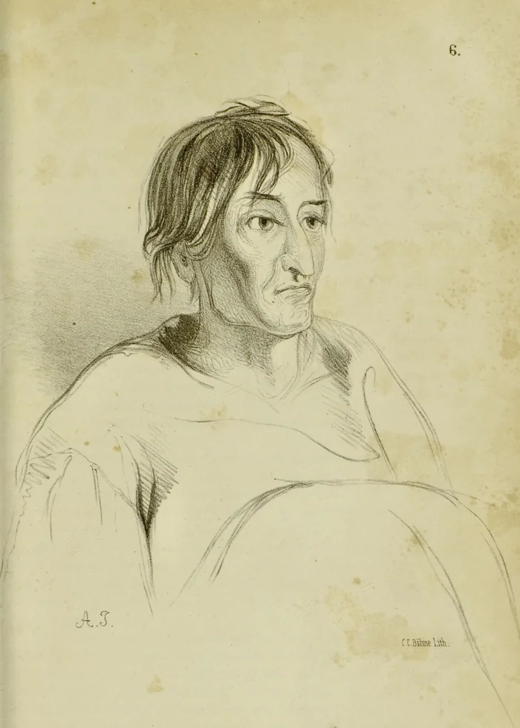 An illustration from Physiognomik der geisteskrankheiten / Sir Alexander Morison., 1853, leaf 35