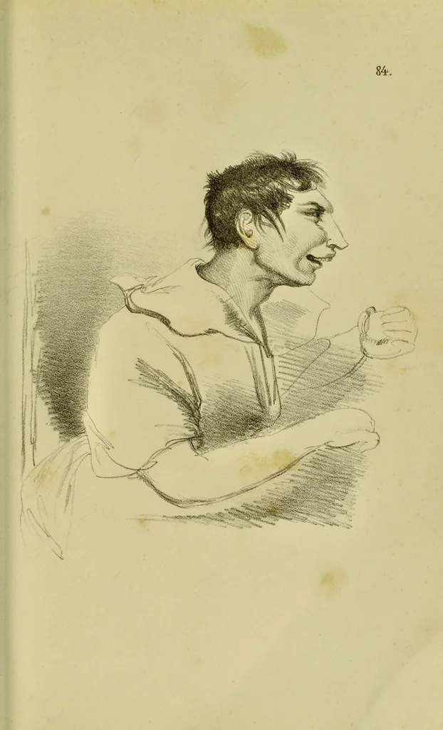 An illustration from Physiognomik der geisteskrankheiten / Sir Alexander Morison., 1853, leaf 387