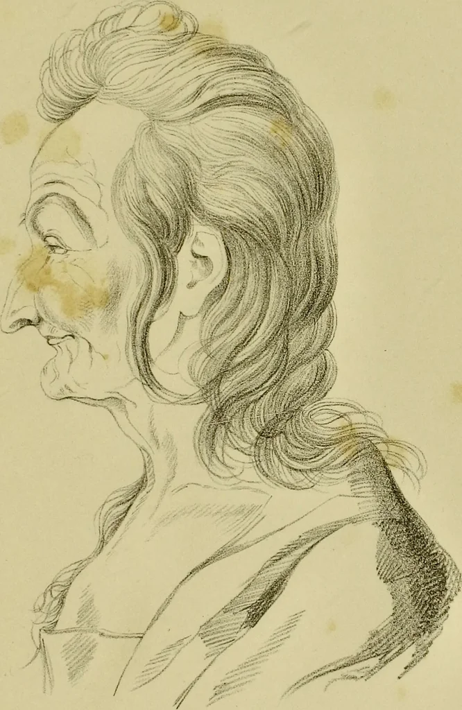 An illustration from Physiognomik der geisteskrankheiten / Sir Alexander Morison., 1853, leaf 449