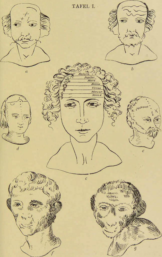 An illustration from Physiognomik und Mimik / von Paolo Mantegazza ; mit mehr als hundert original-zeichmungen von Hector und Edward Ximenes ; vom verfasser genehmigte übersetzung von R. Löwenfeld., 1890, leaf 147