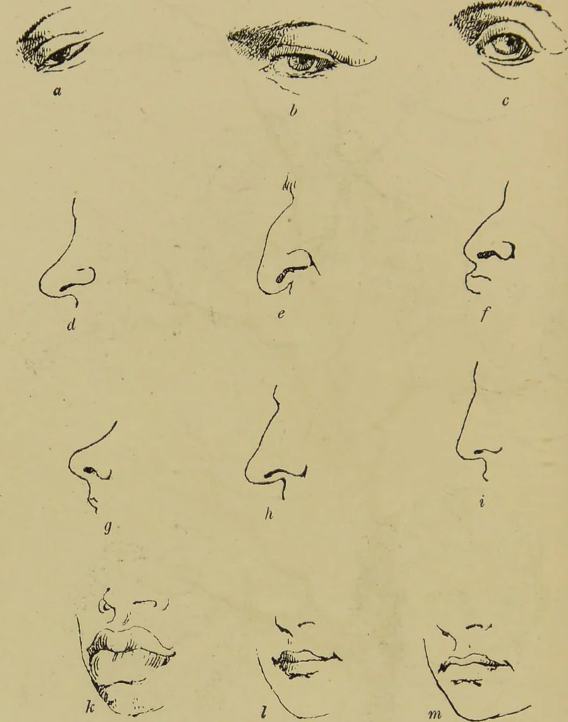 An illustration from Physiognomik und Mimik / von Paolo Mantegazza ; mit mehr als hundert original-zeichmungen von Hector und Edward Ximenes ; vom verfasser genehmigte übersetzung von R. Löwenfeld., 1890, leaf 148