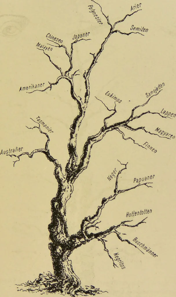 An illustration from Physiognomik und Mimik / von Paolo Mantegazza ; mit mehr als hundert original-zeichmungen von Hector und Edward Ximenes ; vom verfasser genehmigte übersetzung von R. Löwenfeld., 1890, leaf 149