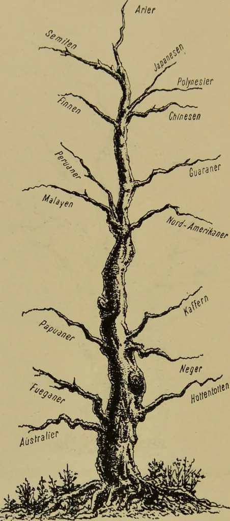 An illustration from Physiognomik und Mimik / von Paolo Mantegazza ; mit mehr als hundert original-zeichmungen von Hector und Edward Ximenes ; vom verfasser genehmigte übersetzung von R. Löwenfeld., 1890, leaf 150