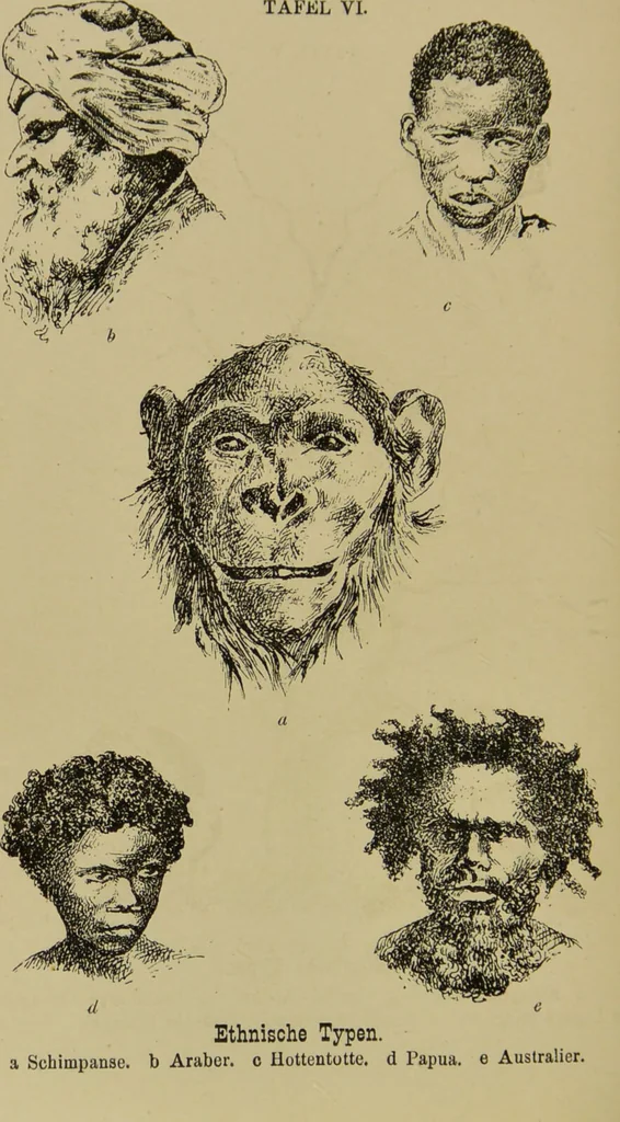 An illustration from Physiognomik und Mimik / von Paolo Mantegazza ; mit mehr als hundert original-zeichmungen von Hector und Edward Ximenes ; vom verfasser genehmigte übersetzung von R. Löwenfeld., 1890, leaf 152