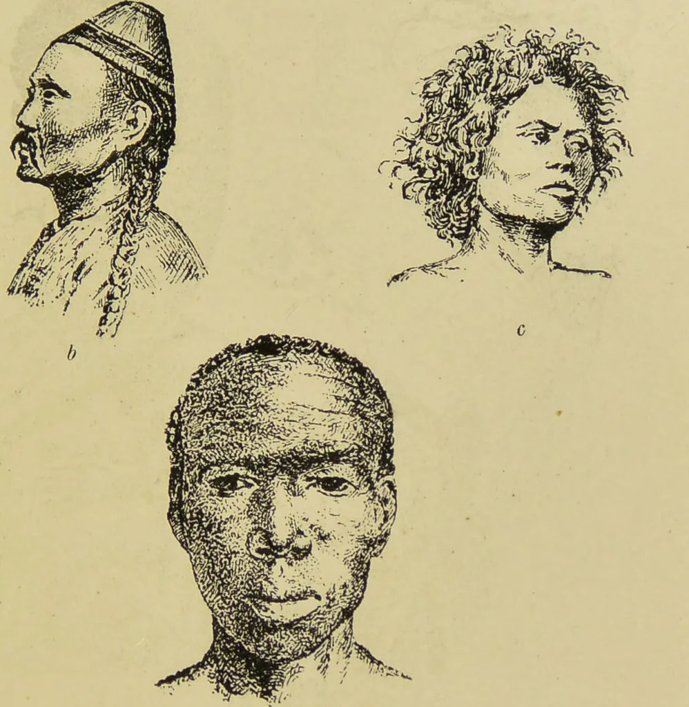 An illustration from Physiognomik und Mimik / von Paolo Mantegazza ; mit mehr als hundert original-zeichmungen von Hector und Edward Ximenes ; vom verfasser genehmigte übersetzung von R. Löwenfeld., 1890, leaf 153