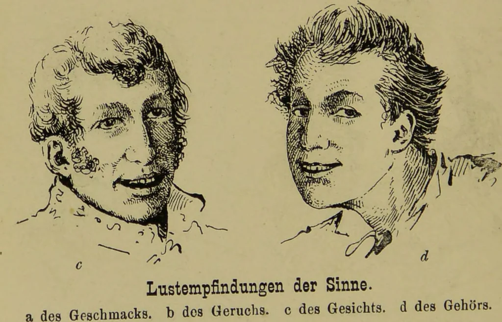 An illustration from Physiognomik und Mimik / von Paolo Mantegazza ; mit mehr als hundert original-zeichmungen von Hector und Edward Ximenes ; vom verfasser genehmigte übersetzung von R. Löwenfeld., 1890, leaf 158