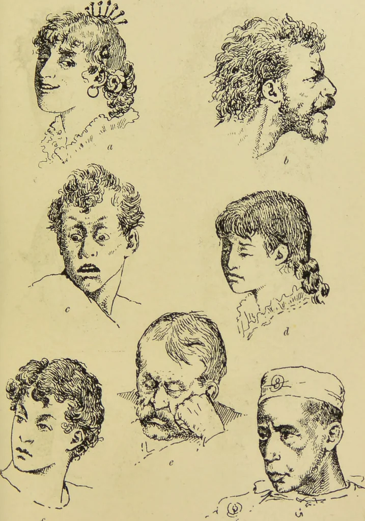 An illustration from Physiognomik und Mimik / von Paolo Mantegazza ; mit mehr als hundert original-zeichmungen von Hector und Edward Ximenes ; vom verfasser genehmigte übersetzung von R. Löwenfeld., 1890, leaf 163