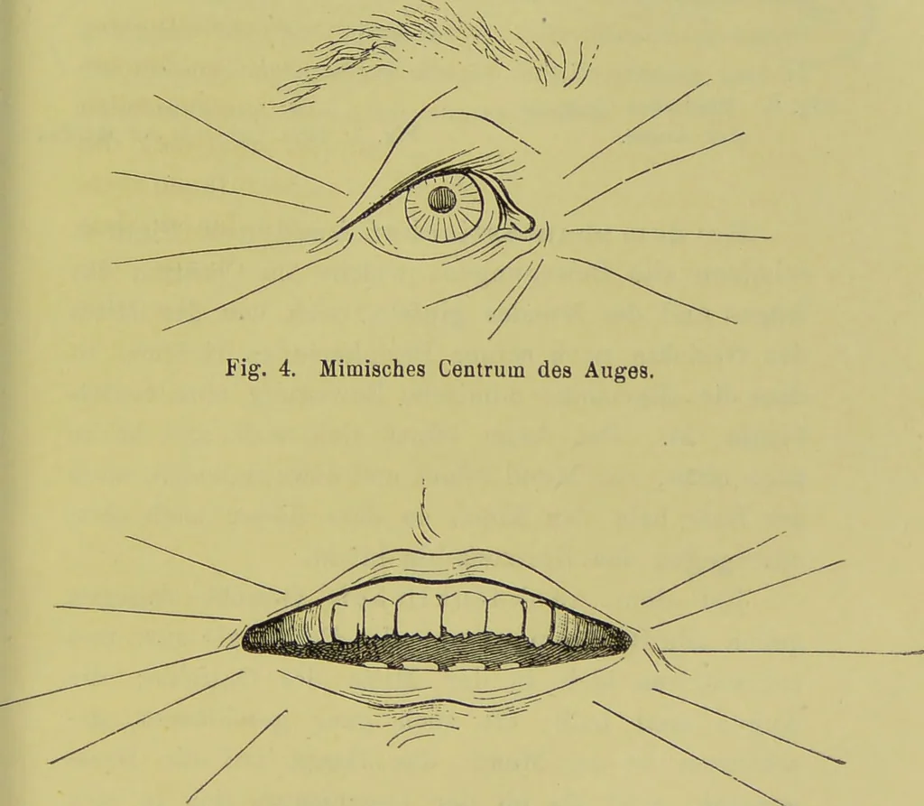 An illustration from Physiognomik und Mimik / von Paolo Mantegazza ; mit mehr als hundert original-zeichmungen von Hector und Edward Ximenes ; vom verfasser genehmigte übersetzung von R. Löwenfeld., 1890, leaf 513