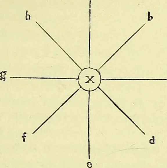 An illustration from Physiognomy and expression / by Paolo Mantegazza., 1890, leaf 109