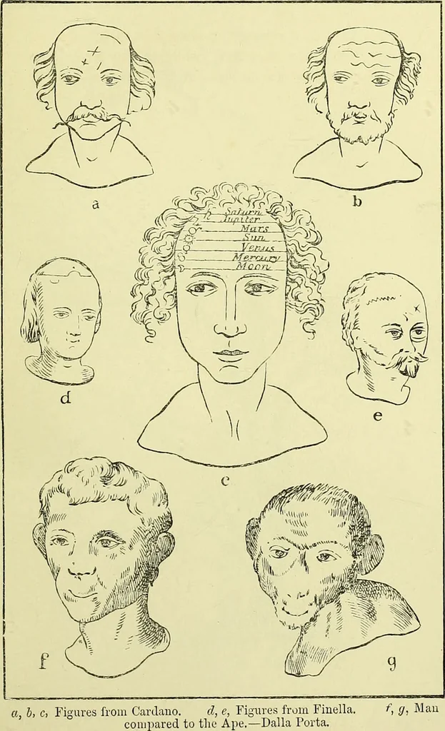 An illustration from Physiognomy and expression / by Paolo Mantegazza., 1890, leaf 327