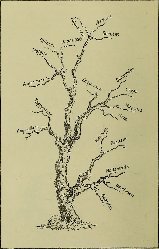 An illustration from Physiognomy and expression / by Paolo Mantegazza., 1890, leaf 328