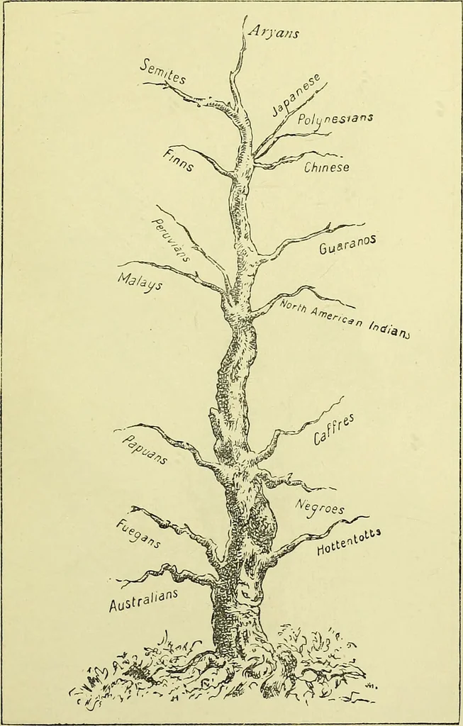 An illustration from Physiognomy and expression / by Paolo Mantegazza., 1890, leaf 329