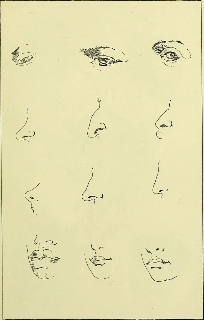 An illustration from Physiognomy and expression / by Paolo Mantegazza., 1890, leaf 331