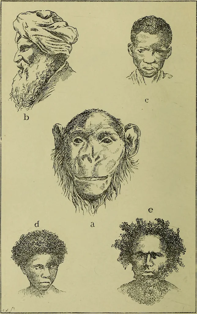 An illustration from Physiognomy and expression / by Paolo Mantegazza., 1890, leaf 332