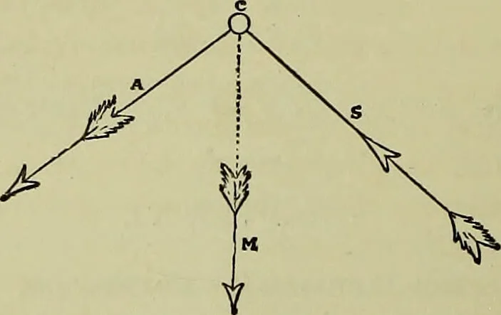An illustration from Physiognomy and expression / by Paolo Mantegazza., 1890, leaf 94