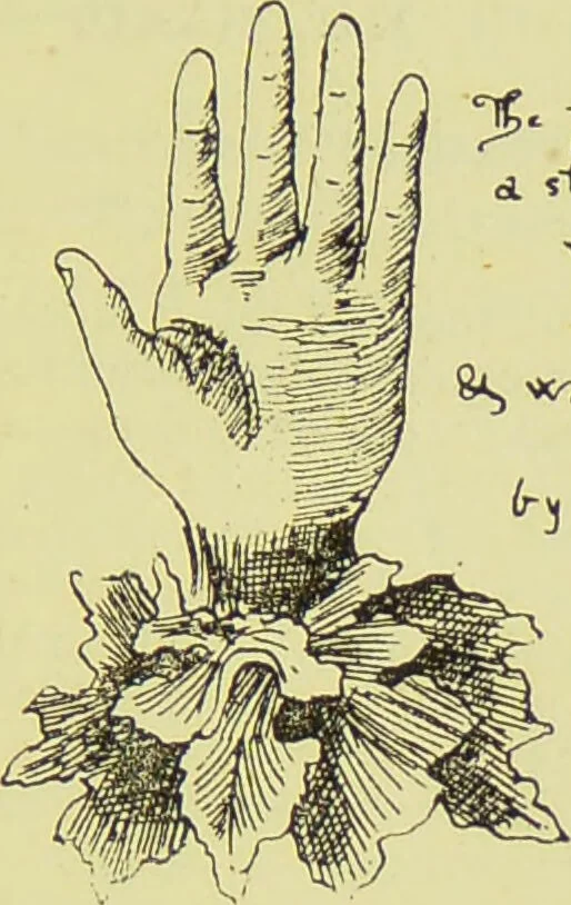 An illustration from The science of the hand, or, The art of recognising the tendencies of the human mind by the observation of the formations of the hands = la science de la main / translated from the French of C.S. D'Arpentigny and edited ... by Ed. Heron-Allen ; with original plates and explanatory diagrams by Rosamund Brunel Horsley., 1886, leaf 181