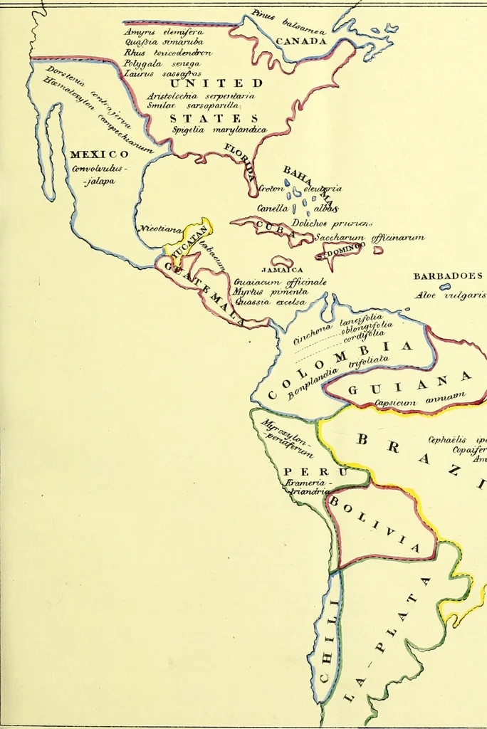 An illustration from A series of botanical tables, and tables of the materia medica, designed for the use of students preparing for examination at Apothecaries' Hall : illustrated with numerous engravings on wood, and four coloured medico-botanical maps of Europe, Asia, Africa, and America, showing the geographical situation of all the plants of the Pharmacopoeia / by W.K. Toase., 1835, leaf 11