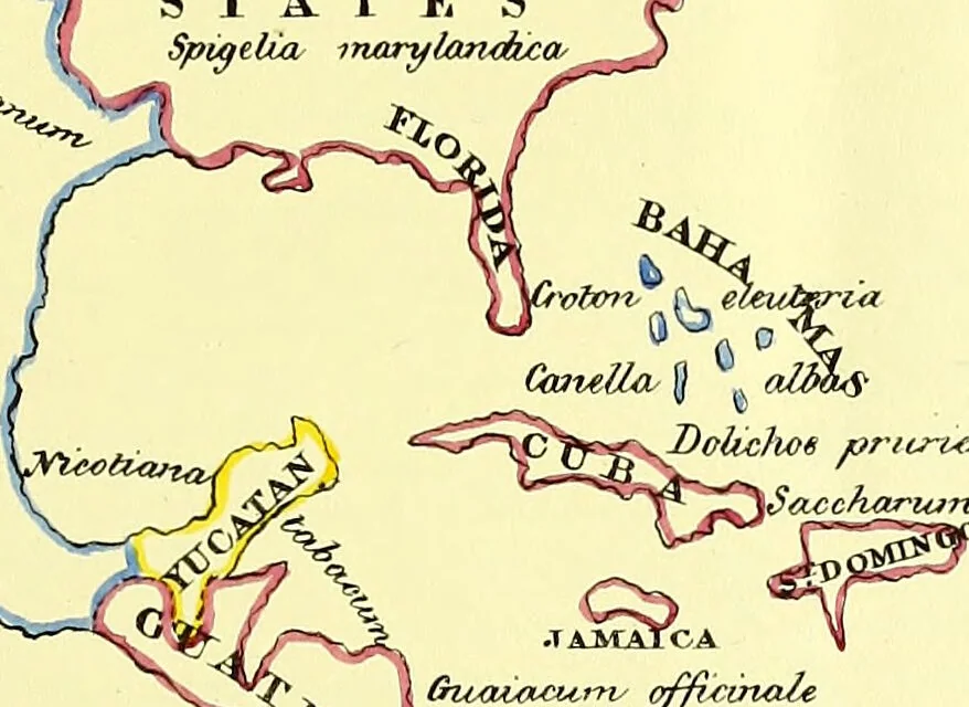An illustration from A series of botanical tables, and tables of the materia medica, designed for the use of students preparing for examination at Apothecaries' Hall : illustrated with numerous engravings on wood, and four coloured medico-botanical maps of Europe, Asia, Africa, and America, showing the geographical situation of all the plants of the Pharmacopoeia / by W.K. Toase., 1835, leaf 11