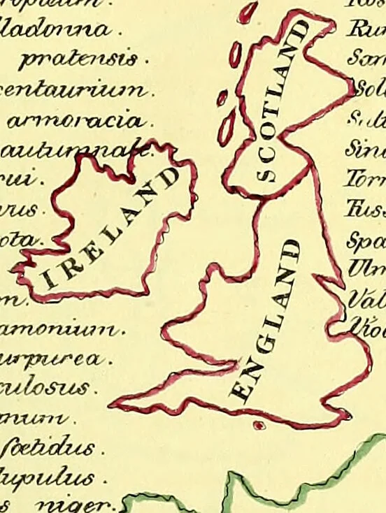 An illustration from A series of botanical tables, and tables of the materia medica, designed for the use of students preparing for examination at Apothecaries' Hall : illustrated with numerous engravings on wood, and four coloured medico-botanical maps of Europe, Asia, Africa, and America, showing the geographical situation of all the plants of the Pharmacopoeia / by W.K. Toase., 1835, leaf 5