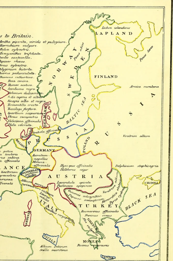 An illustration from A series of botanical tables, and tables of the materia medica, designed for the use of students preparing for examination at Apothecaries' Hall : illustrated with numerous engravings on wood, and four coloured medico-botanical maps of Europe, Asia, Africa, and America, showing the geographical situation of all the plants of the Pharmacopoeia / by W.K. Toase., 1835, leaf 5