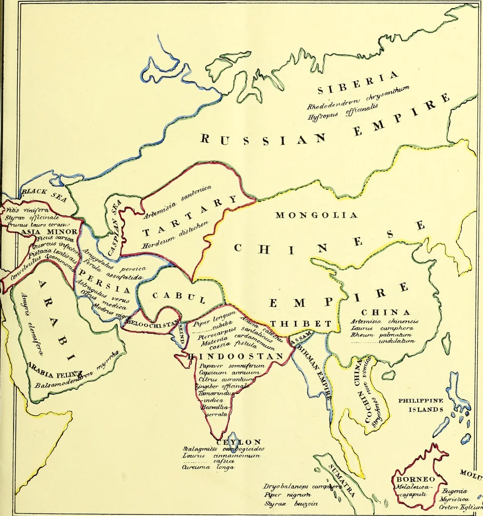 An illustration from A series of botanical tables, and tables of the materia medica, designed for the use of students preparing for examination at Apothecaries' Hall : illustrated with numerous engravings on wood, and four coloured medico-botanical maps of Europe, Asia, Africa, and America, showing the geographical situation of all the plants of the Pharmacopoeia / by W.K. Toase., 1835, leaf 7
