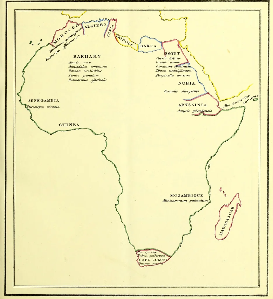 An illustration from A series of botanical tables, and tables of the materia medica, designed for the use of students preparing for examination at Apothecaries' Hall : illustrated with numerous engravings on wood, and four coloured medico-botanical maps of Europe, Asia, Africa, and America, showing the geographical situation of all the plants of the Pharmacopoeia / by W.K. Toase., 1835, leaf 9