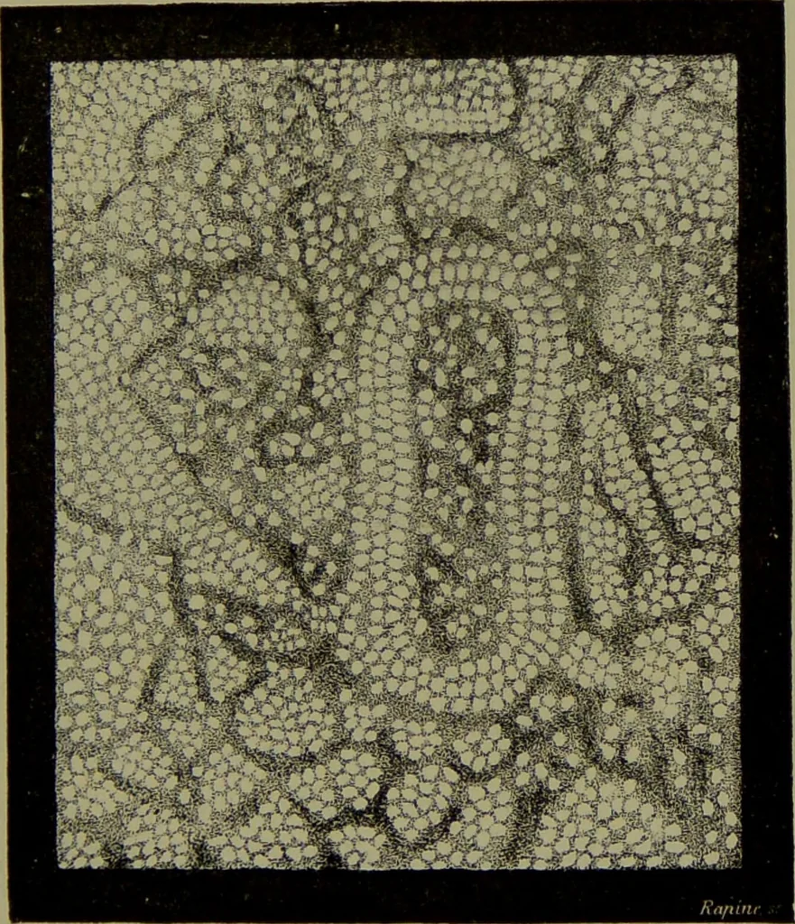 An illustration from Spectrum analysis in its application to terrestrial substances, and the physical constitution of the heavenly bodies / familiarly explained by H. Schellen ; translated from the second enlarged and revised German edition by Jane and Caroline Lassell ; edited with notes by William Huggins ; with numerous woodcuts and coloured plates, and Ångström's and Kirchhoff's maps., 1872, leaf 317